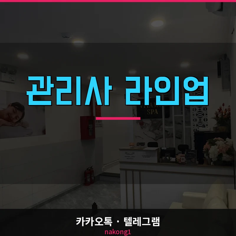 나트랑 황제스파 비타민스파 비교 관리사 라인업