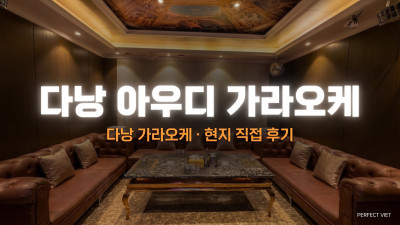 다낭 아우디 가라오케